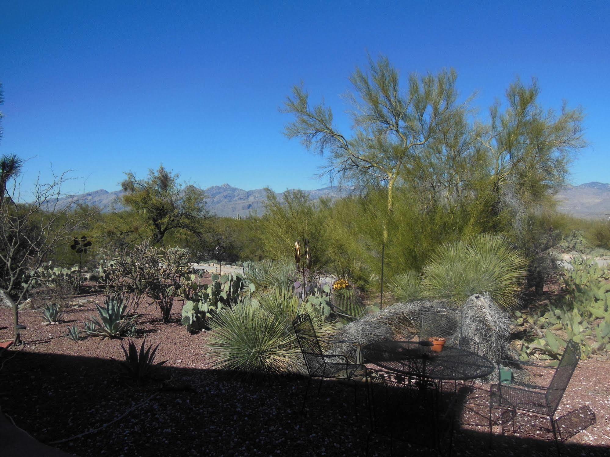The Suncatcher Fine Country Inn Tanque Verde ภายนอก รูปภาพ